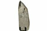 Smoky Quartz Crystal on Metal Stand - Brazil #209553-3